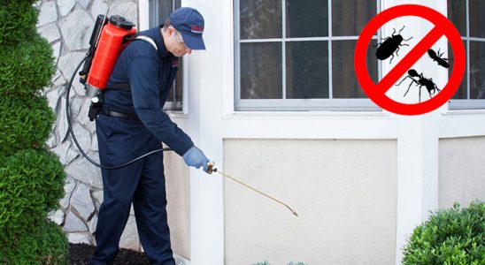 Gevaş Fare İlaçlama böcek ilaçlama ve haşere kontrolü — ilaclama-tr.com